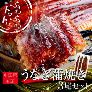 Ȃ Ă3Zbgi250g×3j i̓ ̓  Mtg v[g 蕨 O Y Y yp̉N̓ jjijfb3)uȂ Ă3Zbgv