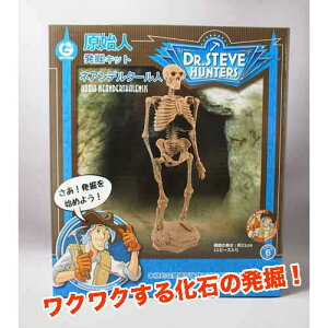 @LbgulAf^[lv@iW{@tBMA