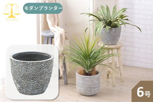 v^[Jo[ 31×s31×25cm O[ O[x[X i rO X CeAƋ x[X ꕨ ϗtA  CeA CeAG   Aؔ 6