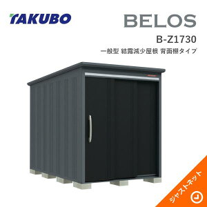 �y���������Z�[���I�z B-Z1730 BELOS ���F���X �Ԍ�173cm ���s300cm ����215.7cm ��ʌ^ ���I�������� �w�ʒI�^�C�v �x���X �f�U�C�����u �^�N�{���u