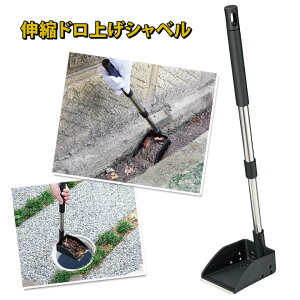 LkhグVx y Trɂ D t a ^}X hu v ₷ g₷ Lk   | |pi ֗