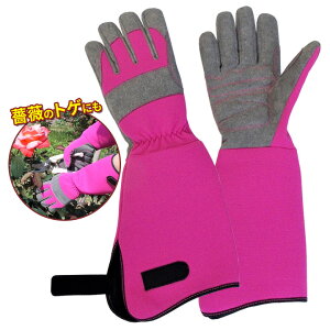 \tgK[fO[u |pi O[u | KN̎ jp K[fjO K[fjO d K[fO[u 