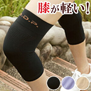 Ђy 2 Ep ЂT|[^[ Ђe[sO G ֐ߒ ֐߈ Or s WMO EH[LO  Gy 搶 y Ki