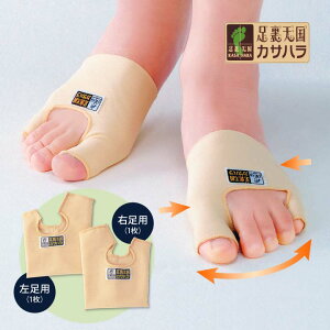 OEwT|[^[ { R hL ^  E jp O  T|[^[ ɂ y ڐG h ̑ ꕔy[։z