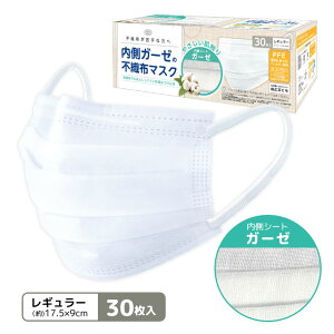 K[[̕sDz}XN30 qpi v[c}XN \h  ECX ԕ ق PM2.5 nEX_Xg 3w\ tB^[ ʃTCY