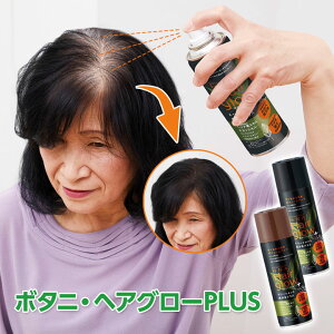 {^jEwAO[PLUS e wAPA wAXv[ Xv[ B щB {[Abv g[gg uԑ jp {
