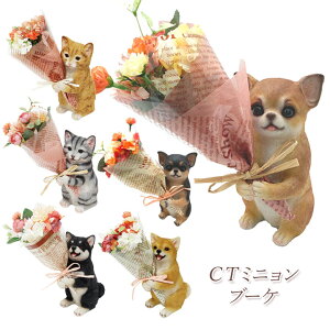 CT~ju[P ̓ Mtg CTG} u[P  Mtg u IuWF  킢  L lR  Ck  Aj} L R h