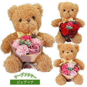 \[vt[ rbOxA ̓ Mtg V{t[ u[P AWg t[Mtg  N} o J[l[V ꂳ ΂