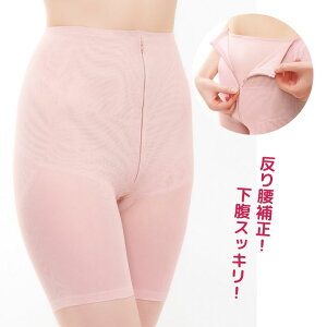 荘̂ۂ艺T|[g ␳ K[h t@Xi[ 荘␳ Ոʒu𐳂 䂪  T|[g EN S`M L`LL