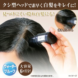 楽天市場 ふんわり白髪コーム ダークブラウン 白髪染め 部分染め 白髪かくし 白髪 薄毛 男女兼用 来客時 入院時 外出時 美容 ヘアカラー 簡単 日本製 便利雑貨のジャストパートナー