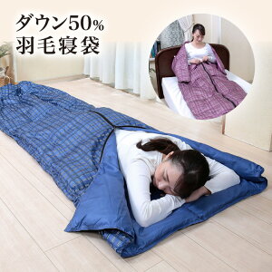 _E50HѐQ Q |zc Q NbV _E H AEghA Ԓ hЃObY H I[V[Y ֗y[J[z