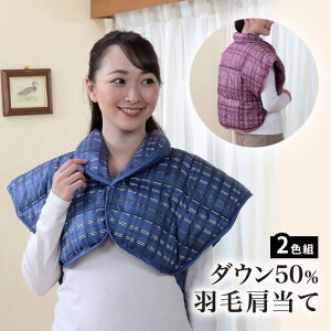健康グッズ 背中 肩当ての人気商品 通販 価格比較 価格 Com