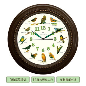 쒹̓dgv Ǌ| |v dg M CeA ֗  쒹  TEh@\ m点 Տꊴ @\t a40cm a m