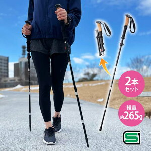 折りたたみウォーキングポール 2本セット SGマーク 男女兼用 足 腰 負担軽減 姿勢改善 転倒防止 全身運動 運動効率アップ 筋力アップ 長さ調節 健康 手軽 収納袋