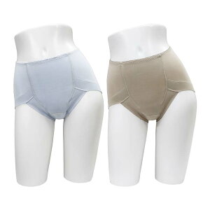 【M・L・LL・3L】スタイルセレブリティレディース吸水消臭ショーツ2色組 女性用 失禁パンツ 尿漏れ パンツ ショーツ 安心 レディース ミセス 尿モレ 中失禁 深ばき丈【メール便可】