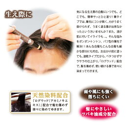 楽天市場 生え際専用 ぽんぽん白髪かくし 白髪かくし 男女兼用 来客時 入院時 外出時 美容 ナチュラルブラック ダークブラウン ヘアカラー 部分 生え際 もみあげ こめかみ 簡単 メール便可 便利雑貨のジャストパートナー