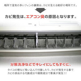 エアコン用消臭&防カビスプレー爽風口便利カビ対策臭い対策悪臭エアコンカビ雑菌抑制即効性抗菌成分消臭持続性液だれしない簡単