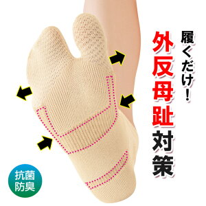 łOT|[g\bNX T|[^[  fB[X ߏy[։z