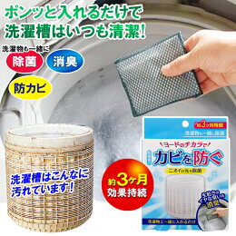 ヨードのチカラ洗濯槽洗濯物除菌防カビカビ部屋干し消臭洗濯物干し室内臭いヨード【メール便可】