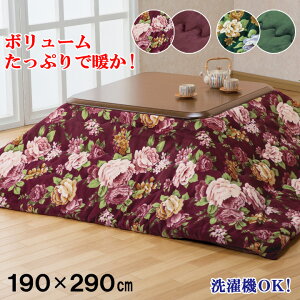 ȃ{[^Cvѕzzc 190×290cm zc ` 唻 ` 􂦂 ѕz | }C[ѕz 2킹 y[J[z