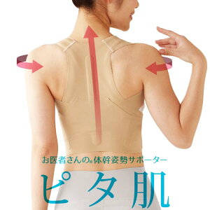 ҂̑̊pT|[^[ s^ N {fBPA p Lw 荘 ċz b ] w ̊Zbg |̌ `OȈďC {