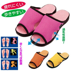 K`N[T_ӂ݂ [V[Y Xbp ɂ  NT_ c{ h  w  tbgPA   bV