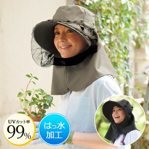 UVJbgXq K[fjO Xq uvJbg  K[h 悯 | H ΍L J[L ubN  ₩K[fjOUVXq