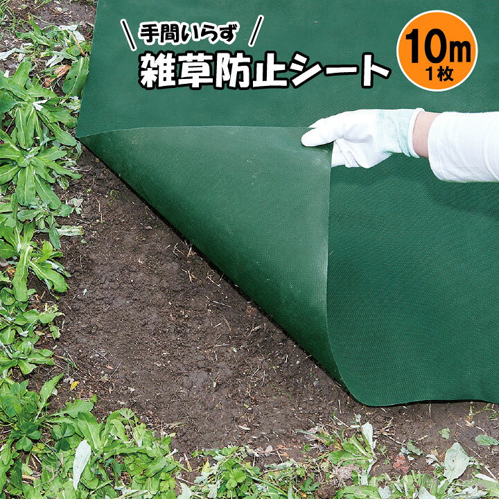 楽天市場】手間いらず雑草防止シート10m 1枚 防草シート 除草 雑草対策 