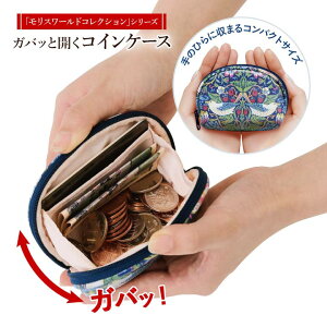 X[hRNV KobƊJRCP[X ~jz z K  fB[X |Pbgt d؂  [ EBAEX D_ 