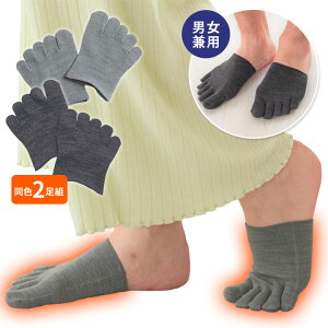 5{wn[tܐEH[}[ 2 jp d˗p 5{w Ci[\bNX C \bNX h ̗₦ ₦ ΍   ₦΍ {