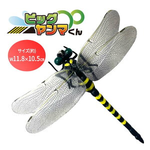 rbO} Ij}  ɂ 悯 ΍ A tBMA Au n` I  Ss Xgbv AEghA ނ Ro OƁy[։z