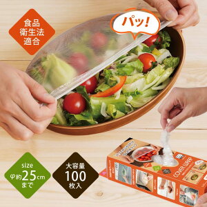 ȒPԂStbv 100 ֗ Lb` bv Hi ۑ H M   Jo[ t S~ Hiq@K ① Ⓚ dqW ЊQ