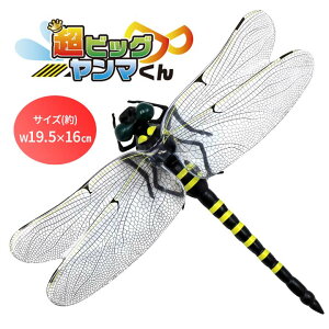 rbO} Ij}  ɂ 悯 ΍  A tBMA Au n` I  Ss Xgbv AEghA ނ Ro O