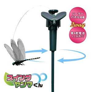 �X�C���O�����}���� �I�j�����} ������ ���ɂ��� ���悯 �΍� ���A�� �t�B�M���A �A�u �n�` �I �� ���� ��� ������] �\�[���[�p�l�� ���z�� �d�r�� ���O ��