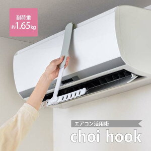 choi hook(傢ӂ) @\nK[ h[ObY  󊱂  nK[ tbN 10 ȃXy[X GARp ȒPݒuy[։z