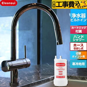クリンスイ浄水 浄水器 ビルトイン型 水栓一体型 クリンスイ 