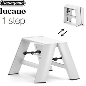 [ML1.0-1(CG)] lucano J[m JH ͂Er 1-stepi1ij őgpʁF100kg A~AABSAPVC gXebv NX^O[ yzyʔzzysz