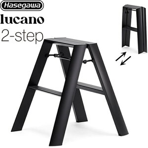 [ML2.0-2(BK)] lucano J[m JH ͂Er 2-stepi2ij őgpʁF100kg A~AABSAPVC gXebv ubN yzyʔzzysz