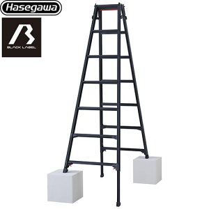 [RYZB-21a] ͂pr RYZB 7i JH ͂Er ubN[xV[Y őgpʁF100kg ^b`o[ A~ Vg[` ubN yzyʔzzy