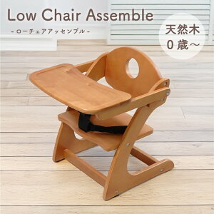 [`FA AbZu A[` ؐ [`FA xr[ gݗ 񂽂 H ֎q xr[`FA e[u LbY`FA qp֎q CX  e[ut 킢  k 