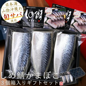 w{̑i100I2025x(5NAIo) ߎI܂ڂ 3MtgI{TogpI 蕨 yY`Y I   ґ 蕨 YI  ] ̍ ܂ n  