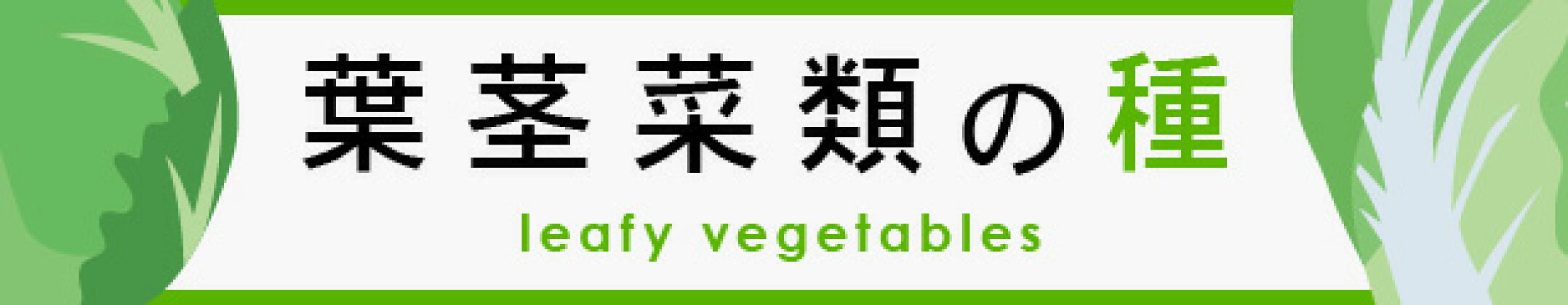 葉茎菜類の種