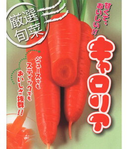 LA R[g1 jW ɂ񂶂 lQ yATq_   ^l zyʏ5{ 5̂̓|Cg10{z