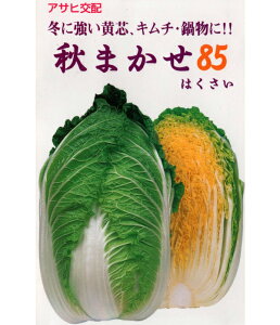 H܂85 20ml  nNTC ͂ yATq_   ^l zyʏ5{ 5̂̓|Cg10{z