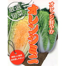 オレンジミニ 20ml 白菜 ハクサイ はくさい 【アサヒ農園 種 たね タネ 】【通常5倍 5のつく日はポイント10倍】
