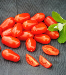 T^XeB 500 v^`~jg}g g}g ~jg}g yGU̎   ^lzyʏ5{ 5̂̓|Cg10{z