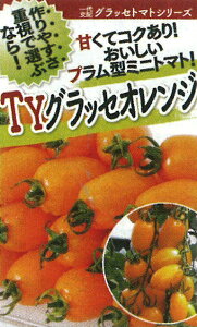 TYObZvX IW 1000 g}g Ƃ܂ ׉ցyt^o   ^lzyʏ5{ 5̂̓|Cg10{ΏۊOi|Cg3{Œ菤iz