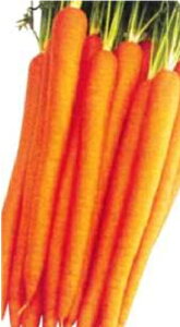 LbeIW R[g5000 lQ ɂ񂶂 yt^o   ^lzyʏ5{ 5̂̓|Cg10{ΏۊOi|Cg3{Œ菤iz