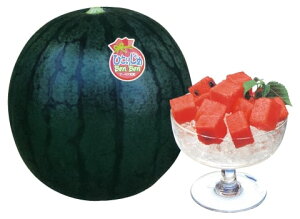 ЂƂ肶BonBon ʃXCJ 200 XCJ  Zy_   ^lzyʏ5{ 5̂̓|Cg10{ΏۊOi|Cg3{Œ菤iz