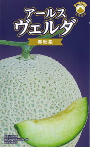 A[XF_ tHn  100 ߂  rZy_   ^lzyʏ5{ 5̂̓|Cg10{ΏۊOi|Cg3{Œ菤iz